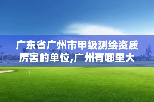 广东省广州市甲级测绘资质厉害的单位,广州有哪里大的测绘公司。