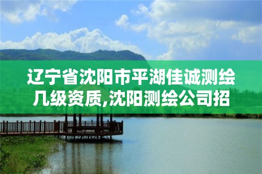 辽宁省沈阳市平湖佳诚测绘几级资质,沈阳测绘公司招聘。