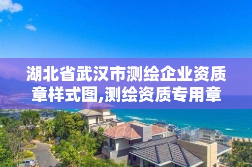 湖北省武汉市测绘企业资质章样式图,测绘资质专用章样式图。