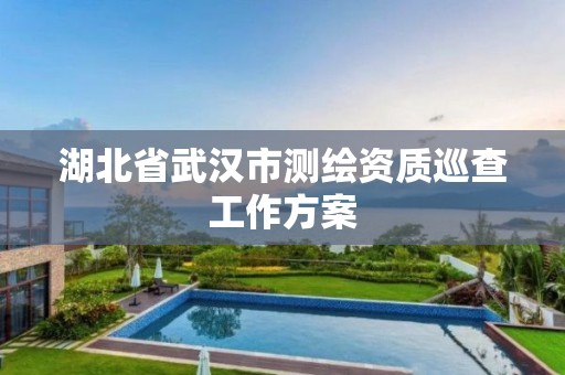 湖北省武汉市测绘资质巡查工作方案