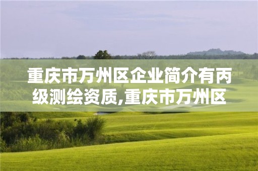 重庆市万州区企业简介有丙级测绘资质,重庆市万州区建设工程质量检测中心有限公司。