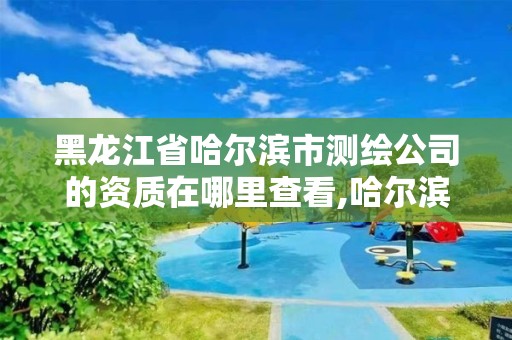 黑龙江省哈尔滨市测绘公司的资质在哪里查看,哈尔滨测绘公司招聘。