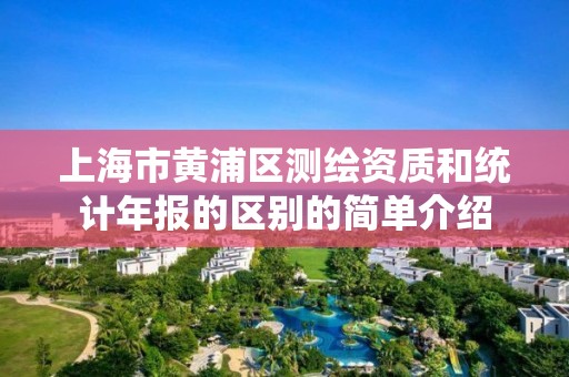 上海市黄浦区测绘资质和统计年报的区别的简单介绍