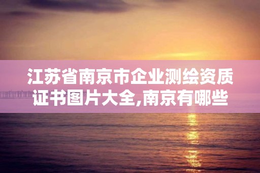 江苏省南京市企业测绘资质证书图片大全,南京有哪些测绘国企单位。