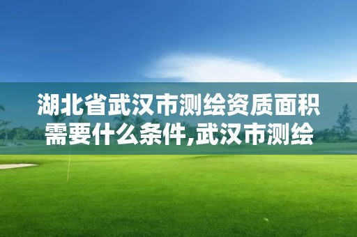 湖北省武汉市测绘资质面积需要什么条件,武汉市测绘院怎么样。