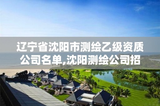 辽宁省沈阳市测绘乙级资质公司名单,沈阳测绘公司招聘信息最新招聘。