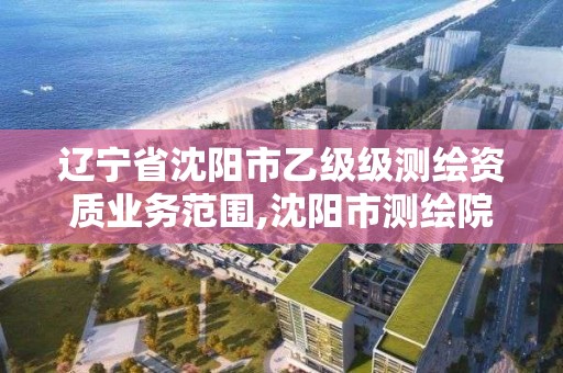 辽宁省沈阳市乙级级测绘资质业务范围,沈阳市测绘院是什么单位。