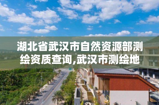 湖北省武汉市自然资源部测绘资质查询,武汉市测绘地理信息局。