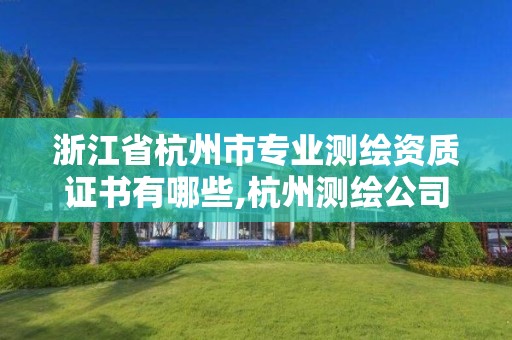 浙江省杭州市专业测绘资质证书有哪些,杭州测绘公司有哪几家。