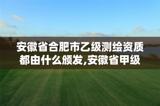 安徽省合肥市乙级测绘资质都由什么颁发,安徽省甲级测绘资质单位。