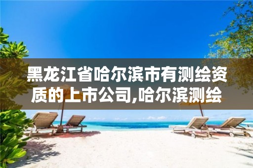 黑龙江省哈尔滨市有测绘资质的上市公司,哈尔滨测绘局属于什么单位。