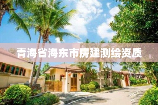 青海省海东市房建测绘资质