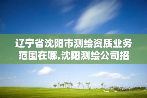 辽宁省沈阳市测绘资质业务范围在哪,沈阳测绘公司招聘信息最新招聘。