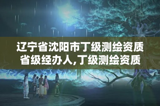 辽宁省沈阳市丁级测绘资质省级经办人,丁级测绘资质要求。