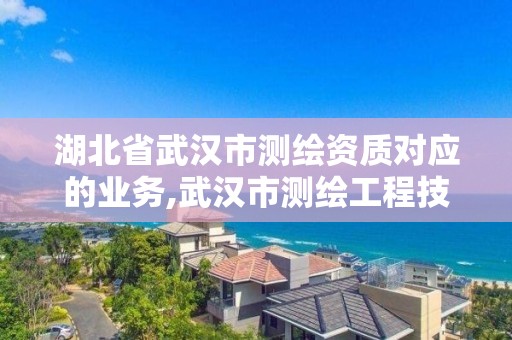 湖北省武汉市测绘资质对应的业务,武汉市测绘工程技术规定。