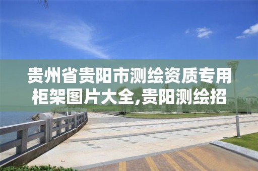 贵州省贵阳市测绘资质专用柜架图片大全,贵阳测绘招聘信息网。