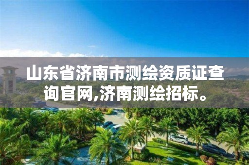 山东省济南市测绘资质证查询官网,济南测绘招标。