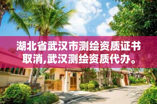 湖北省武汉市测绘资质证书取消,武汉测绘资质代办。