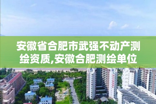 安徽省合肥市武强不动产测绘资质,安徽合肥测绘单位电话。