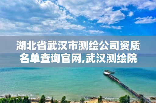 湖北省武汉市测绘公司资质名单查询官网,武汉测绘院地址。