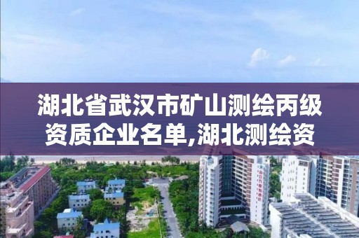 湖北省武汉市矿山测绘丙级资质企业名单,湖北测绘资质单位。