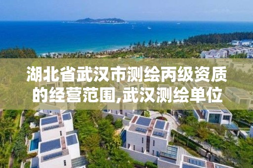 湖北省武汉市测绘丙级资质的经营范围,武汉测绘单位。