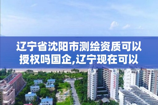 辽宁省沈阳市测绘资质可以授权吗国企,辽宁现在可以办测绘资质吗。