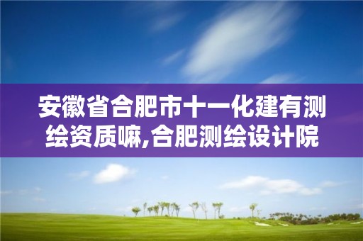 安徽省合肥市十一化建有测绘资质嘛,合肥测绘设计院。