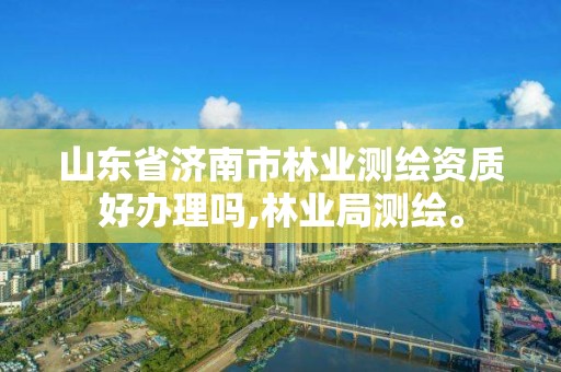 山东省济南市林业测绘资质好办理吗,林业局测绘。