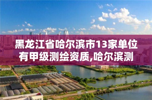 黑龙江省哈尔滨市13家单位有甲级测绘资质,哈尔滨测绘院地址。