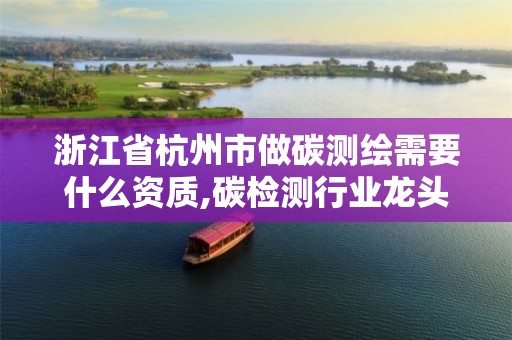 浙江省杭州市做碳测绘需要什么资质,碳检测行业龙头。