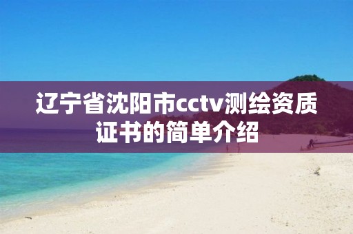 辽宁省沈阳市cctv测绘资质证书的简单介绍