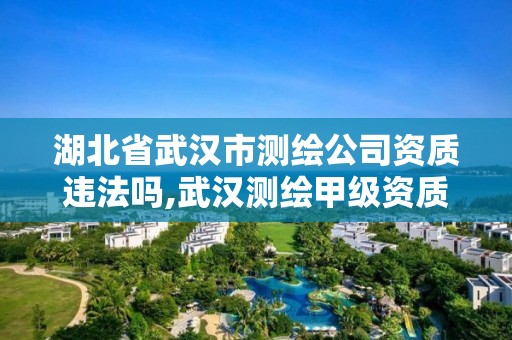 湖北省武汉市测绘公司资质违法吗,武汉测绘甲级资质公司。