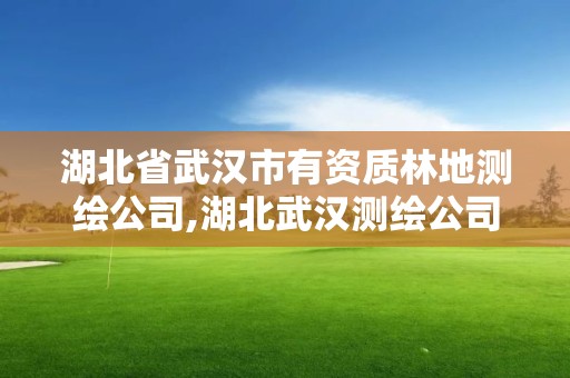 湖北省武汉市有资质林地测绘公司,湖北武汉测绘公司排行榜。