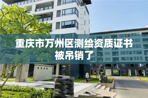 重庆市万州区测绘资质证书被吊销了