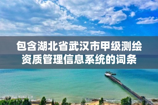 包含湖北省武汉市甲级测绘资质管理信息系统的词条