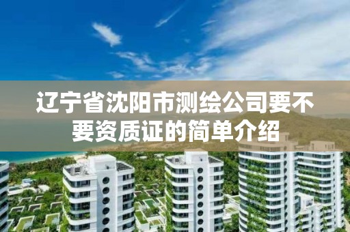 辽宁省沈阳市测绘公司要不要资质证的简单介绍