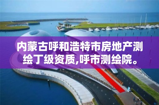 内蒙古呼和浩特市房地产测绘丁级资质,呼市测绘院。