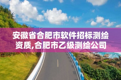 安徽省合肥市软件招标测绘资质,合肥市乙级测绘公司。