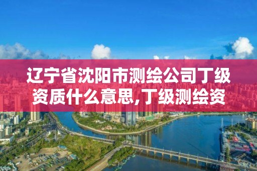 辽宁省沈阳市测绘公司丁级资质什么意思,丁级测绘资质业务范围有哪些。