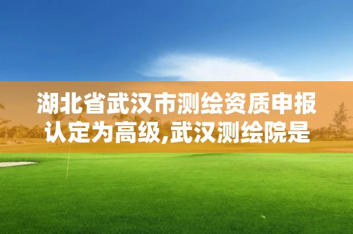 湖北省武汉市测绘资质申报认定为高级,武汉测绘院是什么级别。