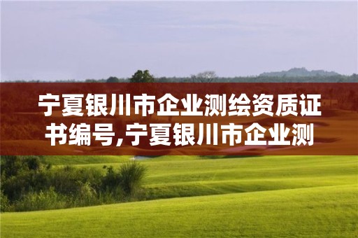 宁夏银川市企业测绘资质证书编号,宁夏银川市企业测绘资质证书编号是多少。