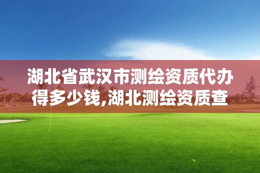 湖北省武汉市测绘资质代办得多少钱,湖北测绘资质查询。