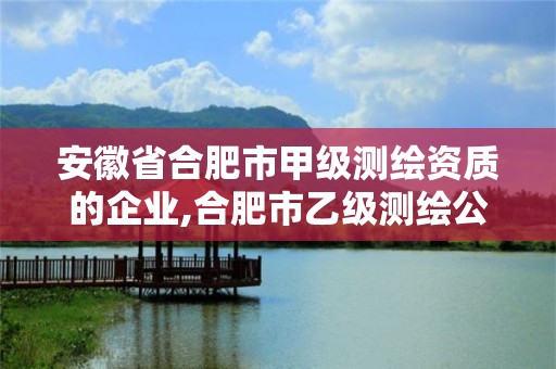 安徽省合肥市甲级测绘资质的企业,合肥市乙级测绘公司。