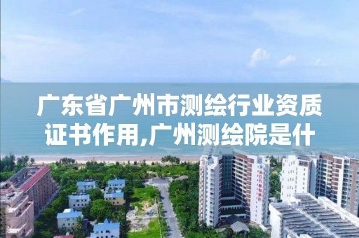 广东省广州市测绘行业资质证书作用,广州测绘院是什么单位。