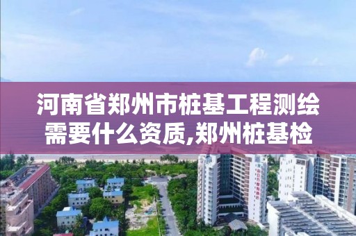 河南省郑州市桩基工程测绘需要什么资质,郑州桩基检测公司。