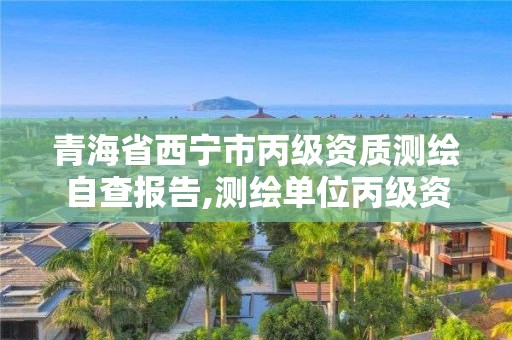 青海省西宁市丙级资质测绘自查报告,测绘单位丙级资质。