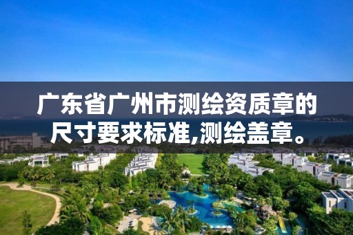 广东省广州市测绘资质章的尺寸要求标准,测绘盖章。