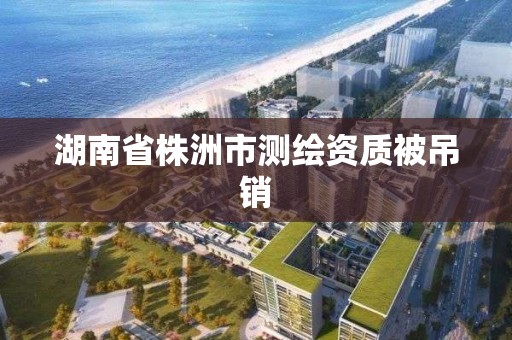 湖南省株洲市测绘资质被吊销