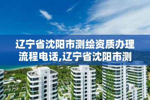 辽宁省沈阳市办理流程电话是多少。